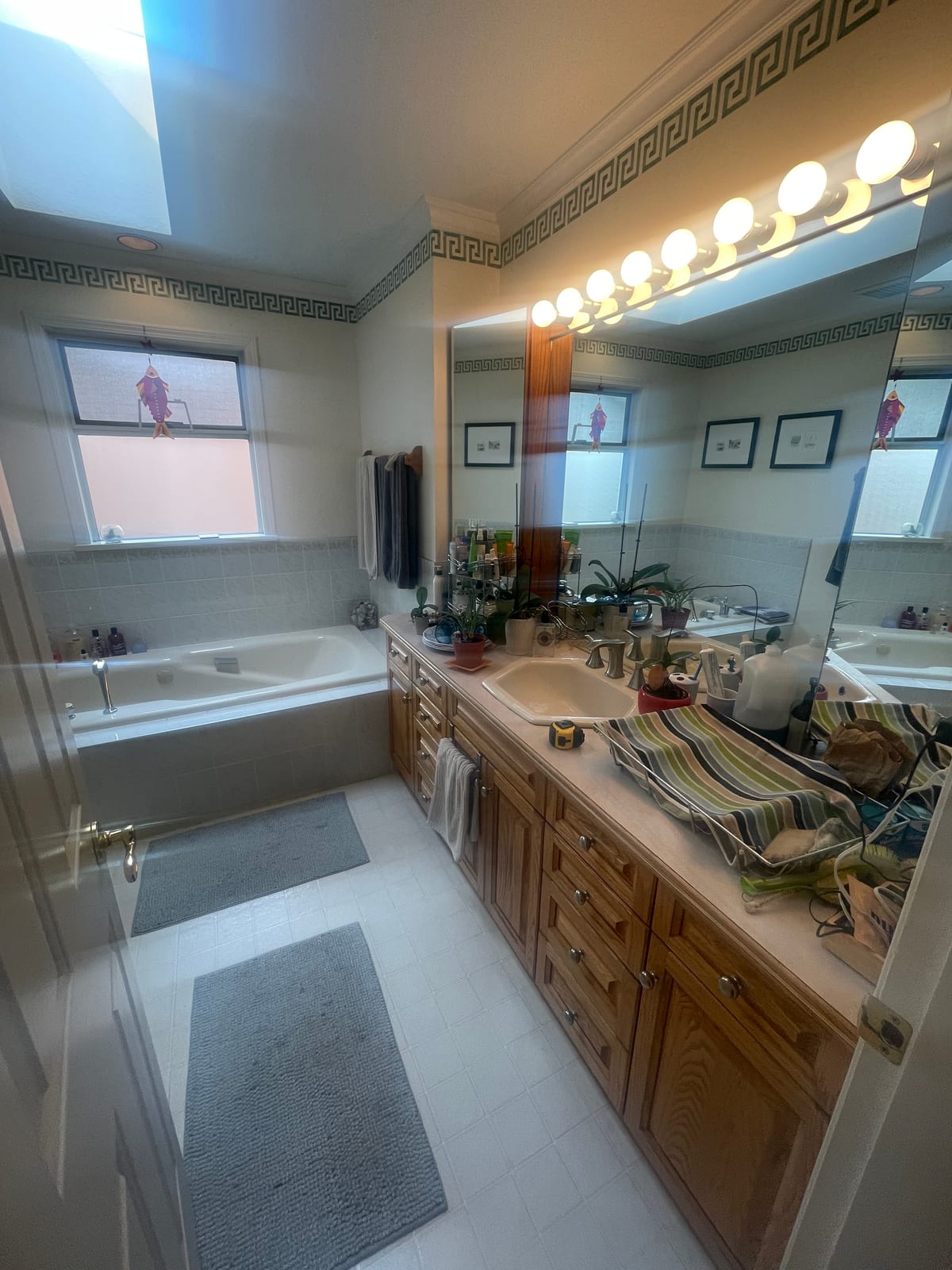 Adrian Bathroom before